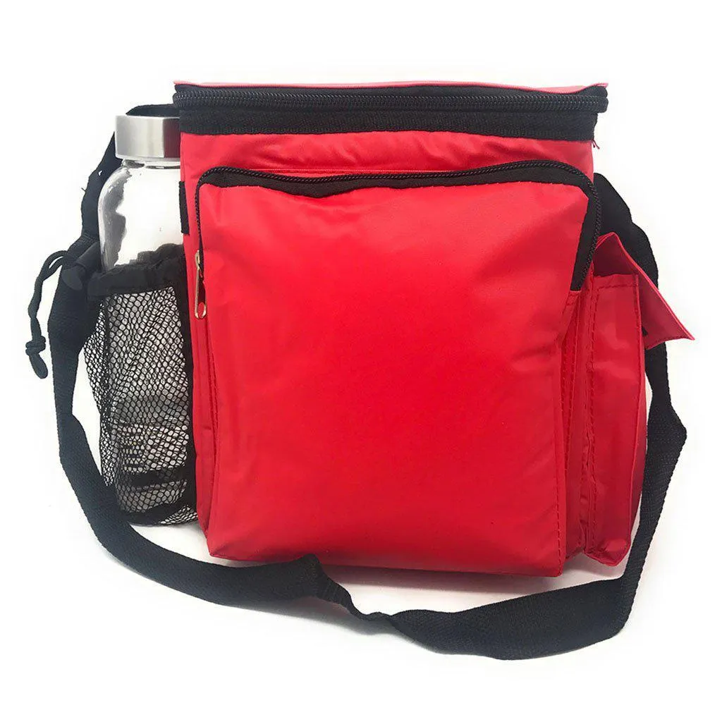 Insulated Lunch Cooler Box Bag 12-Pack Picnic Beer Bottles Water Food 8 X10inch