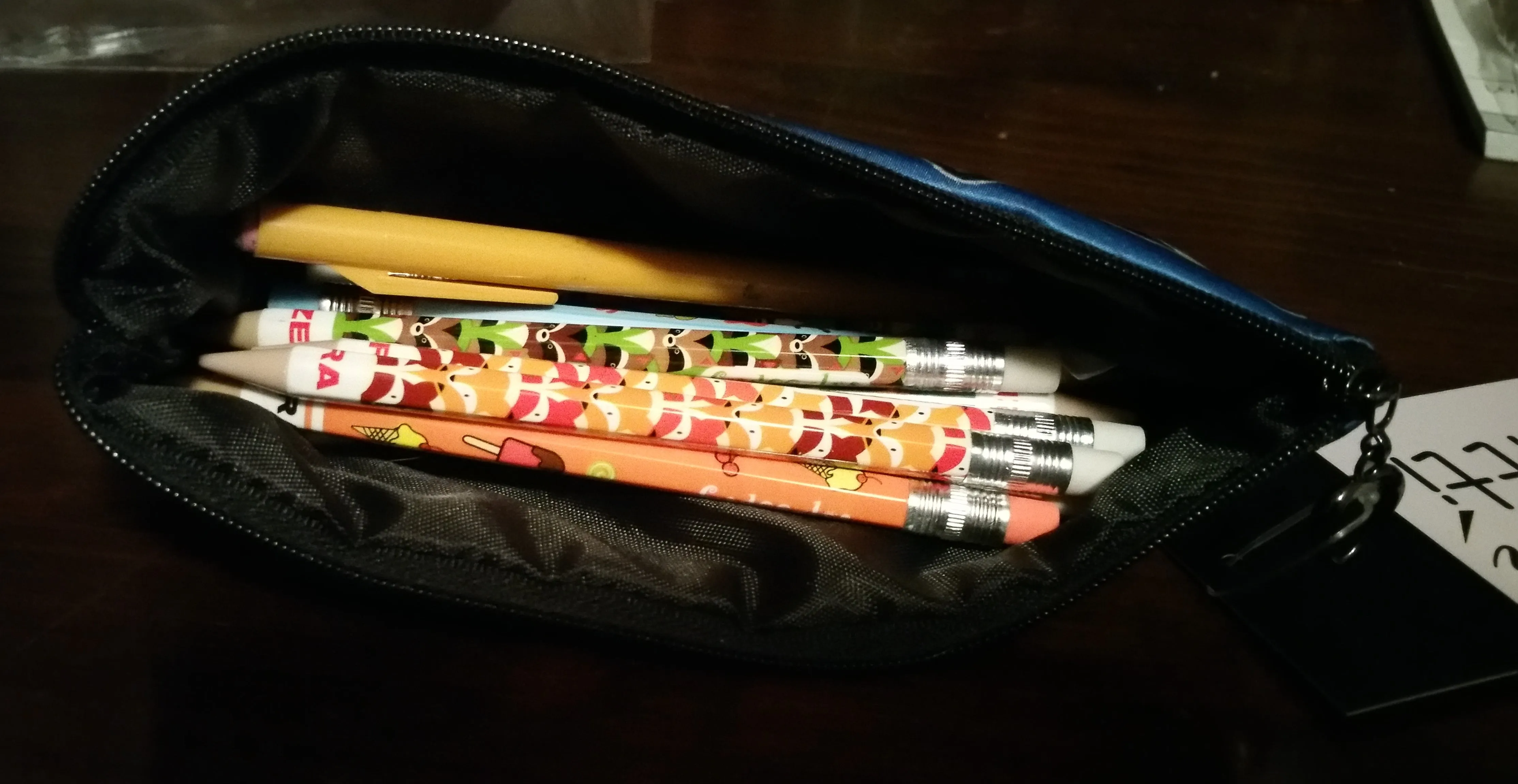 Koala Kitten Pencil Bag- Home Range